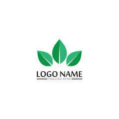 Tree leaf vector and green logo design friendly concept