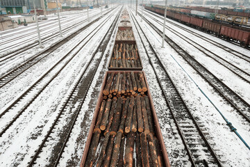Transportation of logs by rail in winter. 