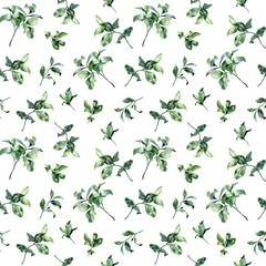 seamless pattern. Watercolor illustration, leaves  on white background. for printing, textiles, cards, invitation, wedding