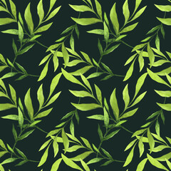 Watercolor seamless pattern. Light green leaves on dark background. 