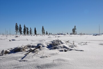 Winterlandschaft in Ernstthal am Rennsteig