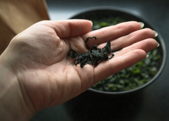 dry wakame seaweed in hand