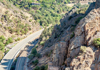 Hillside in the forest