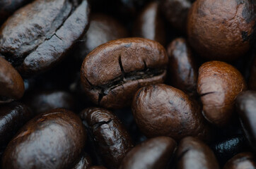 Coffee beans close-up
