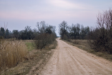 Scenery. Brown sandy road on a cloudy day.