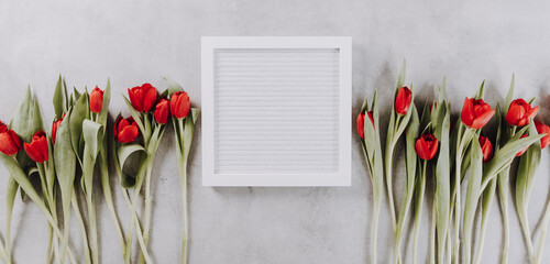 White blank letter board with red tulips. Modern and clean spring design with mockup for text, flat lay, copy space.