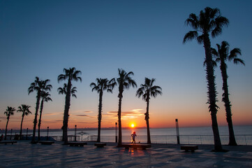 Obraz premium Palm trees sunset gold blue sky backlight Mediterranean.