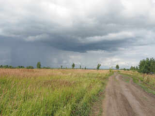 Fototapeta premium road in the field