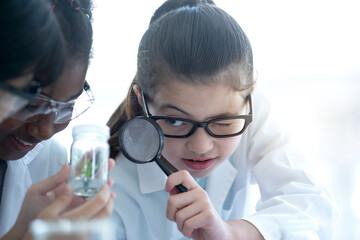 Students of different races are studying tissue culture in biology laboratory, looking at the...