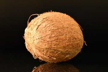 One ripe organic coconut, close-up, isolated on black.