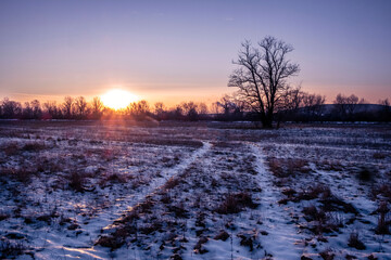 Winter sunset in the field
