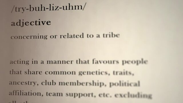 Tribalism Definition