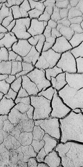 dry cracked earth
