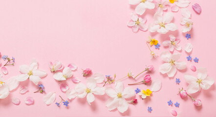 Obraz na płótnie Canvas spring flowers on pink background