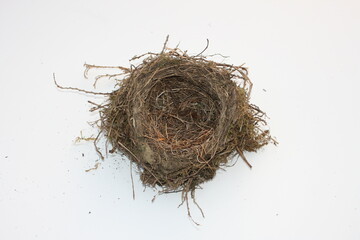 Obraz premium Vogelnest leer.