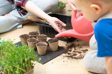 Home hobbies gardening with children and learning botany. Young boy pouring water with watering can to seeds and spoil. Spring time activities.
