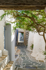 Narrowi street in Castro (Kastro), the oldest part of the Chora town on Folegandros island. Cyclades, Greece