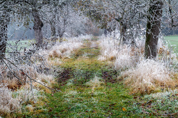  frostiger Winterzauber auf dem Land