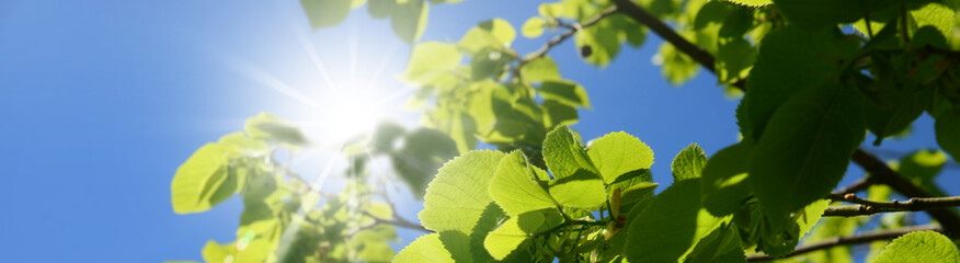 Frühling 569