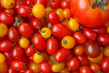 Variety of colorful organic tomato background