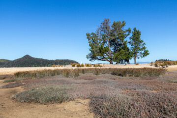 Marais du parc Abel Tasman, Nouvelle Zélande