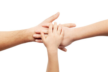 Three hands on a white background. Equality in the family, parenting.
