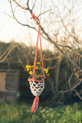 macrame pot handmade close up