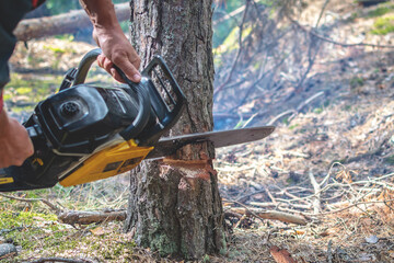 Lumberjack cutting pine tree close-up. No face visible. Logging, Worker in a protective suit with a chainsaw. man cutting trees using an chainsaw. Lumberjack. cutting tree.