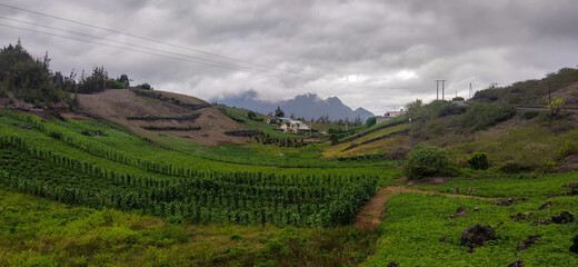 Fototapeta na wymiar Rural landscape of Cilaos in Îlet à Cordes village with crops, La Réunion, France.