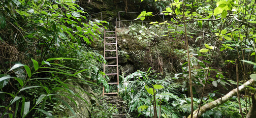 Ladder on tropical hiking trail of Reunion island between jungle and rivers, France, Tropical...
