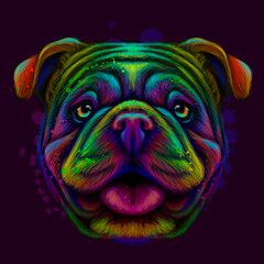 The bulldog. Abstract, neon portrait of an English bulldog in watercolor style on a dark purple background. Digital vector graphics.