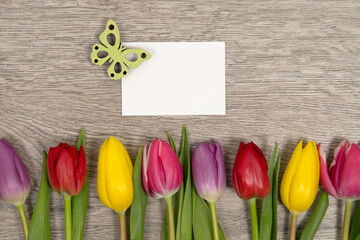 Tulpen und Karte	