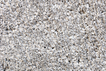 Styropian na ścianie