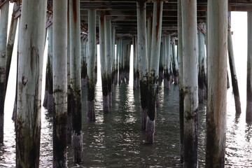 Under the Pier