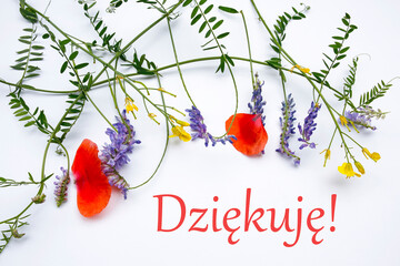 dziekuje- thank you written in polish language and composition of wild field flowers - obrazy, fototapety, plakaty