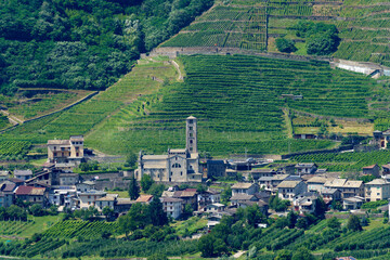 Mountain landscape at summer along the road of Aprica pass. Vineyards