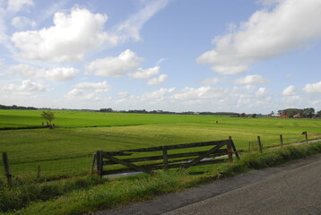 landscape with fence and sky