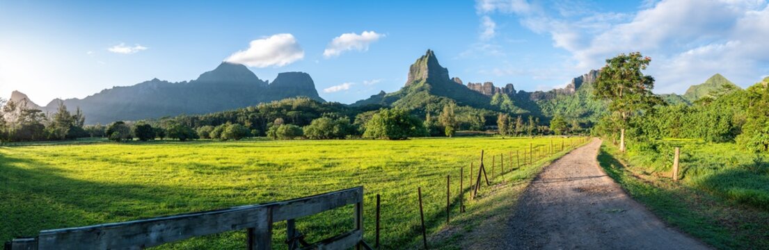 Panoramic view of Mount Tohiea on the island of Moorea, French Polynesia