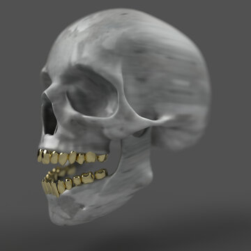 steel skull with gold teeth