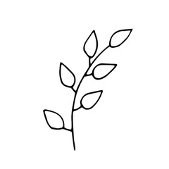 Doodle grass, plant, branch with leaves. Border Edging. Freehand drawing. Black and white outline. Decor for postcards. Vector illustration