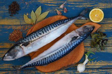 Two atlantic mackerel fishes ready for cooking on the wooden board decorated with spices and lemon slice on the blue wooden background. Top view