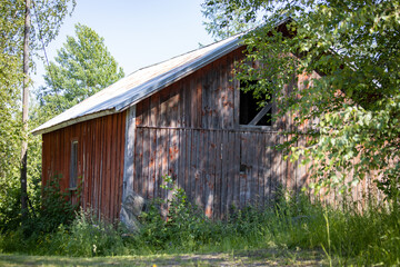 old red barn in the shadow of trees