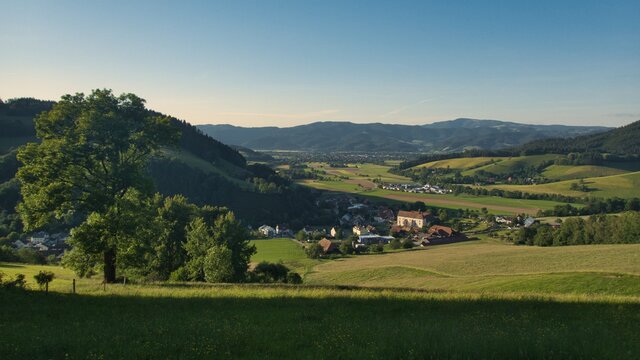 Blick auf das Dorf Oberried und das Dreisamtal im Schwarzwald
