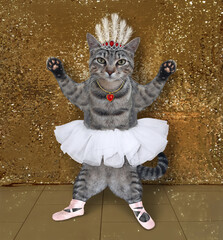 A gray cat ballet dancer in a diadem is dancing on a stage.