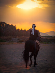 Amazona de doma clásica montando su caballo al atardecer