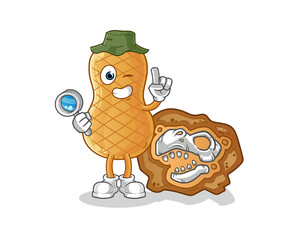 peanut archaeologists with dinosaur fossils mascot. cartoon vector