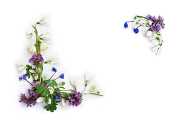 Spring decoration. Frame of flowers white snowdrops, blue scilla, violet pink hollowroot on a white background with space for text. Top view, flat lay
