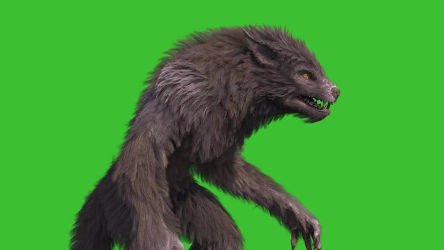 Werewolf Real Fur Green Screen Idle 3D Rendering Animation 4K Horror