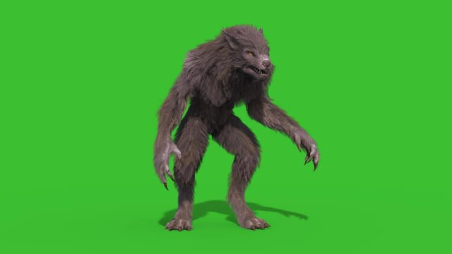 Werewolf Real Fur Green Screen Idle Front 3D Rendering Animation 4K Horror