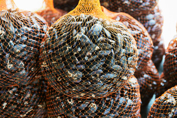  Mussel and oyster farm. Lots of nylon nets with mussels prepared for transport to the fish restaurant. Selective focus.